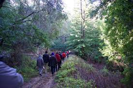 Nature Walks